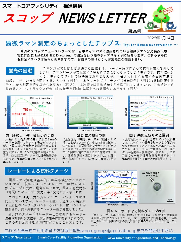 scoop-news-letter-vol-38